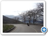 v113